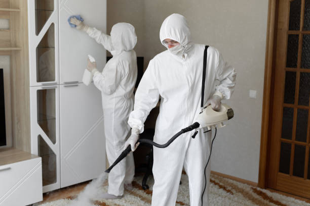 Mold Remediation for Rental Properties in Vamo, FL